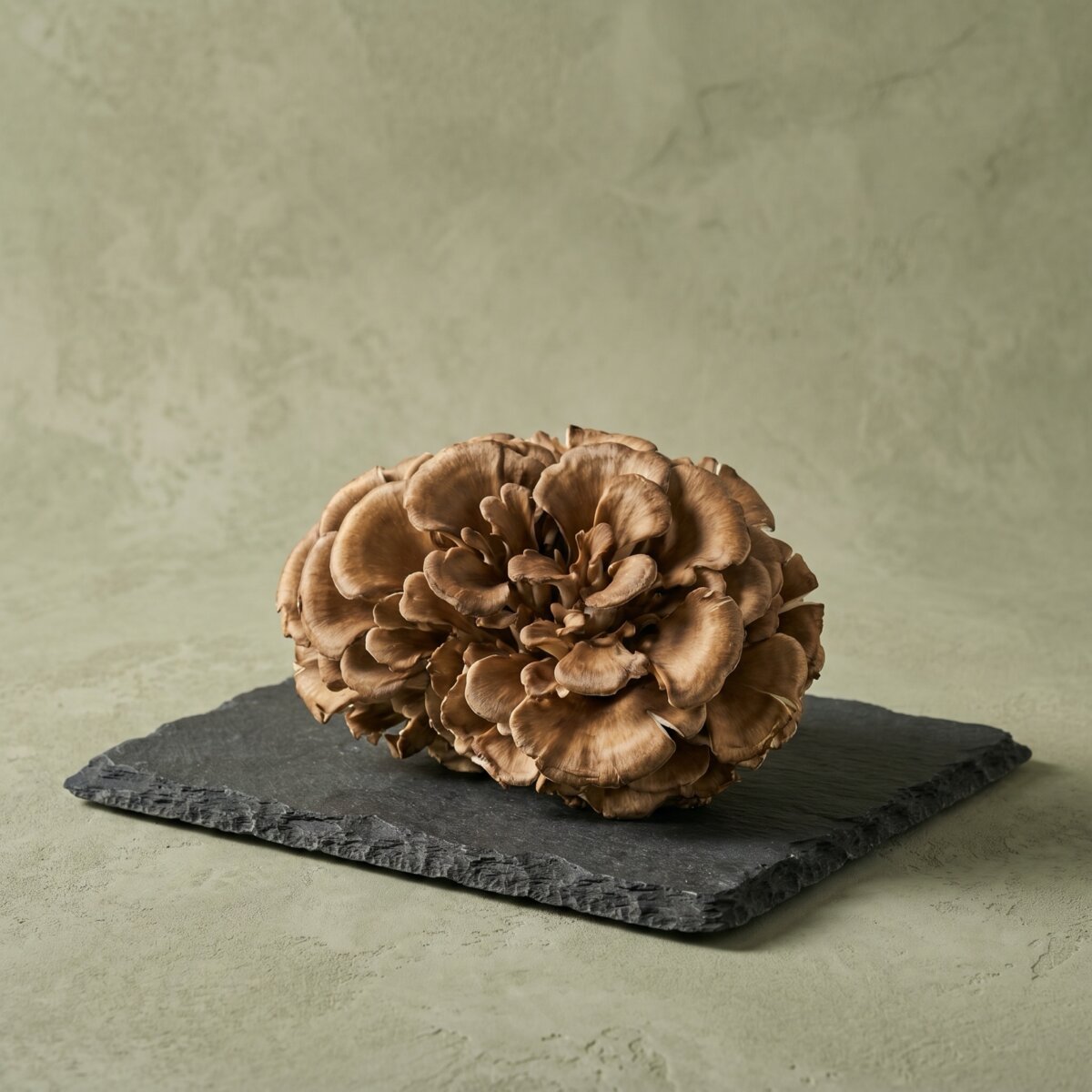 Maitake (Whole Dried)