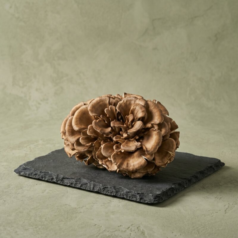 Maitake (Whole Dried) bottle